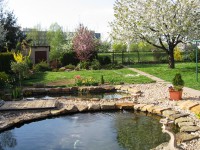 /album/fotogalerie/jezirko-2009-1-jpg/