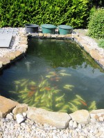 /album/fotogalerie/nadrz-2-jpg/