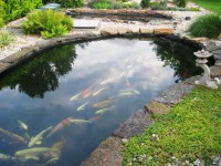 /album/fotogalerie/jezirko-2012-jpg/