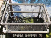 /album/klec/klec-03-jpg/