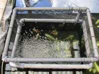 /album/klec/klec-04-jpg/