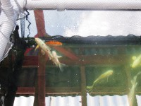 /album/klec/klec-07-jpg/